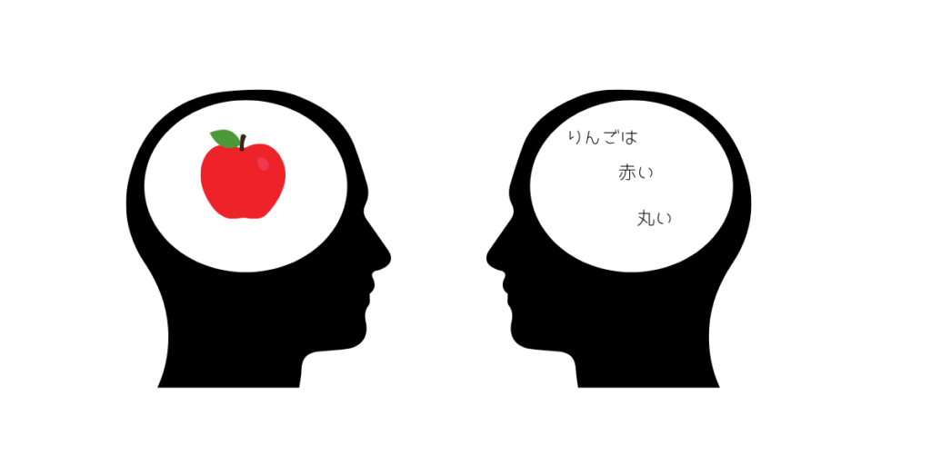 頭の中にりんごをイメージしている人と、リンゴの情報を思い浮かべている人