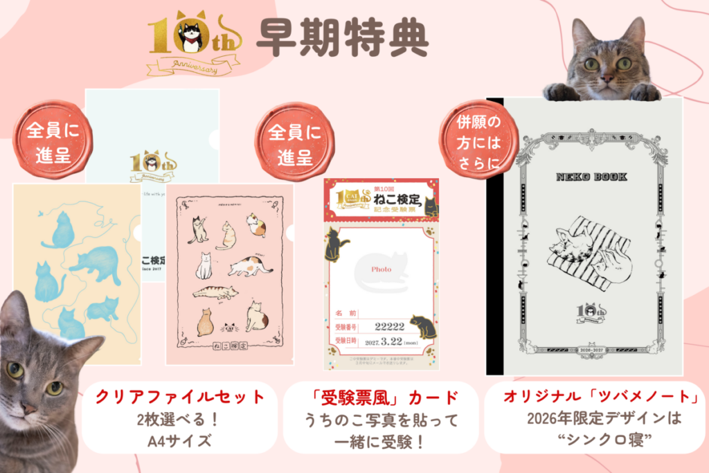 第10回ねこ検定早期特典のグッズ