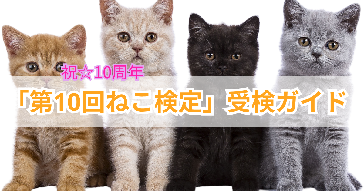 第10回ねこ検定　受検ガイド